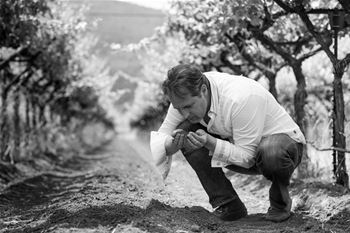 Winemaker, Ivo Jeramaz